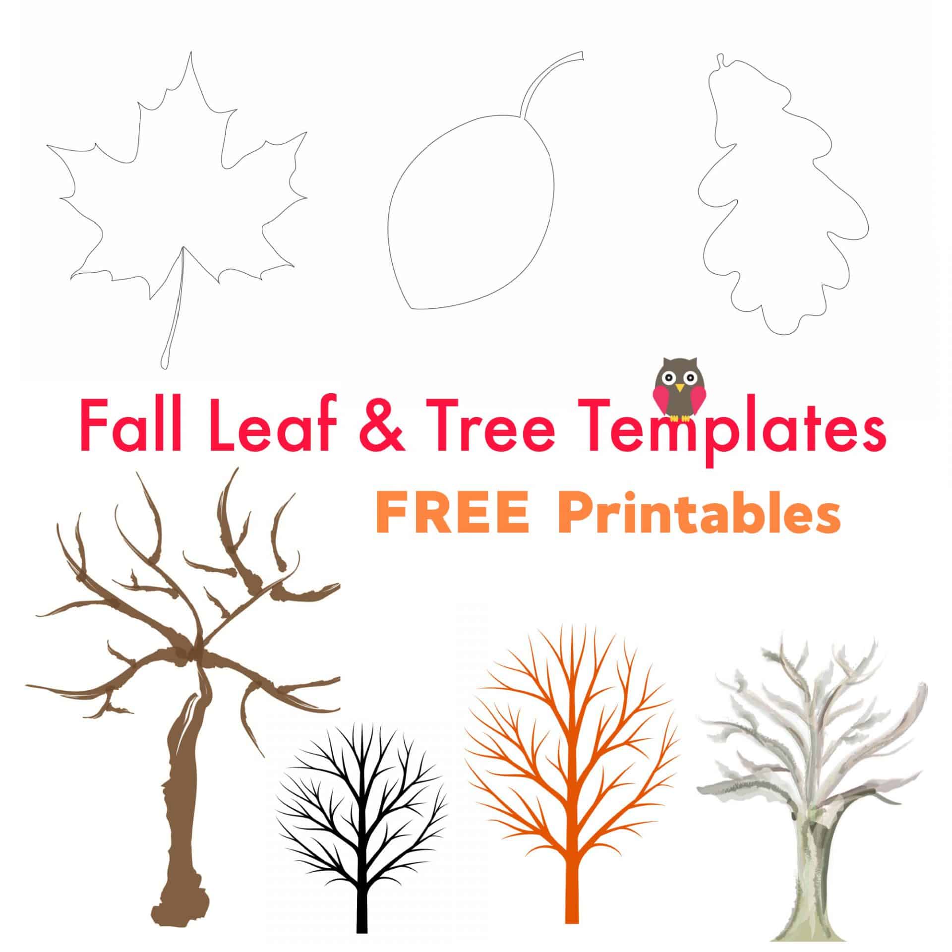 free-printable-fall-leaf-and-tree-templates-emma-owl
